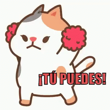 Este Gato Quiere Que Sepas Que Tú Puedes GIF