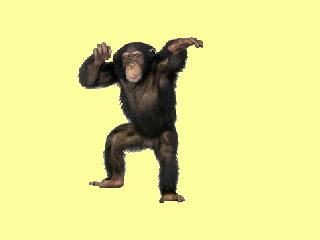 Evaporate Chimp GIF