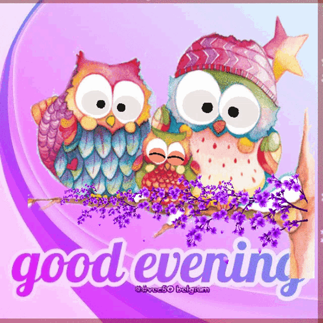 Evening Vec50 GIF