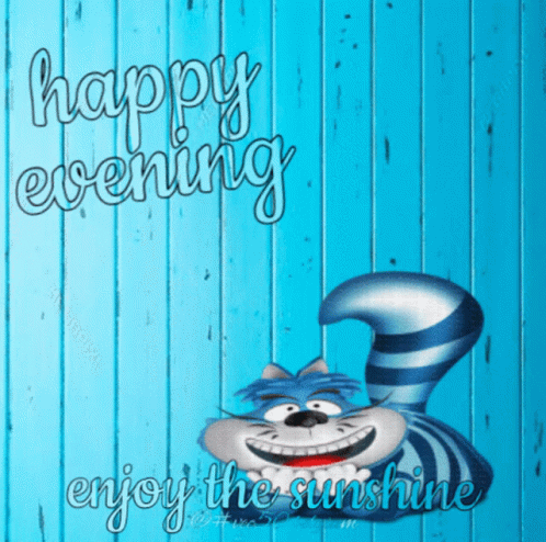 Evening Vec50 GIF