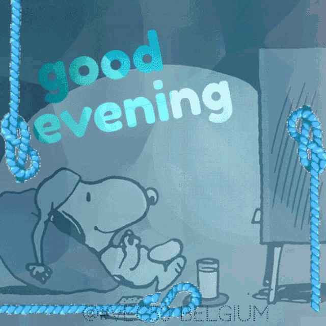 Evening Vec50 GIF