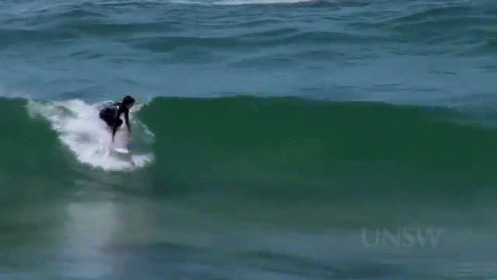 Everybody'S Gone Surfin' GIF