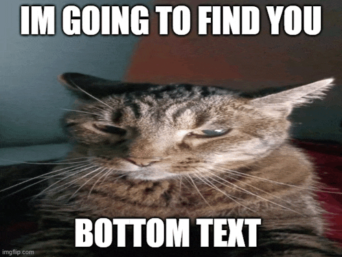 Evil Cat I Will Find You Meme