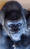 Evil Smile Smirk Meme