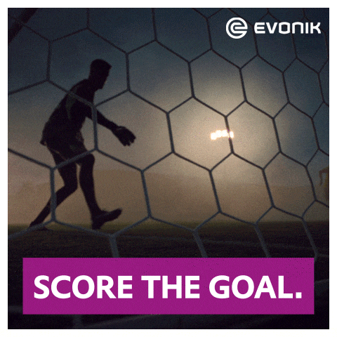 Evonik Bvb GIF