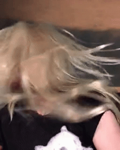 Evothedude Hair Whip GIF. This 399 x 498 animated GIF is part of our self flagellation collection. Created by TheRyeLynn. View the original animation, share…