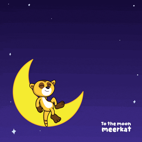 Exc Firew GIF