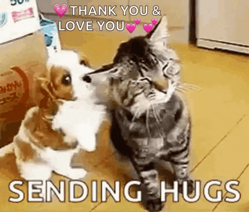 Excited Dance GIF