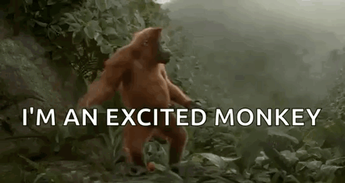 Excited Dance GIF