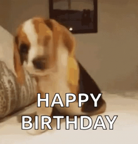 Excited Dog GIF. This 476 x 498 animated GIF is part of our happy birthday puppy collection. Related themes include excited, puppy. Created by Maximus08077…