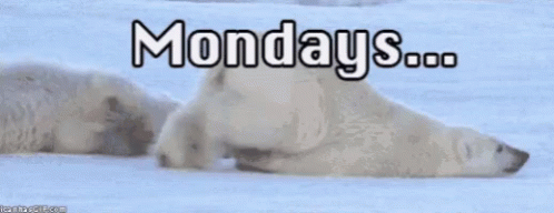 Excited Mondays GIF