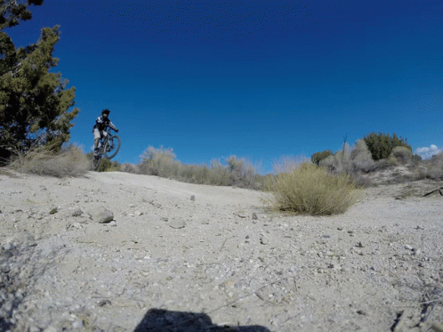 Excited To GIF