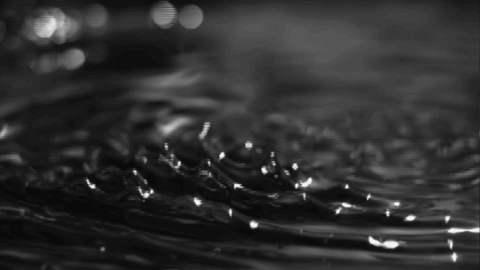 Exile Exile Wear GIF. This 480 x 270 animated GIF is part of our grunge aesthetic collection. Created by izanamipsd. View the original animation, share it…
