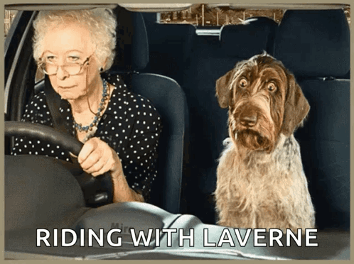 Existing Day Car GIF