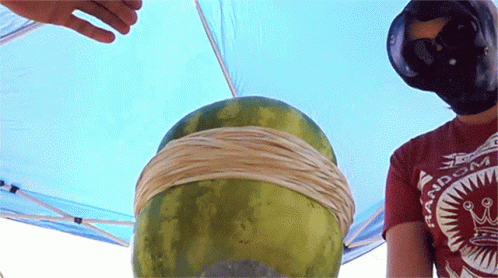 Exploding Watermelon The King Of Random GIF