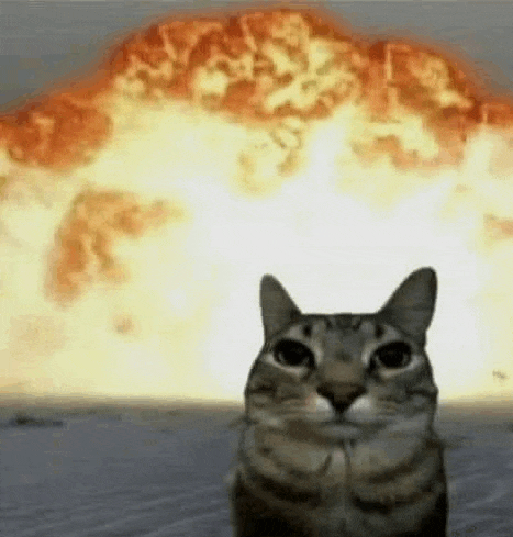 Explosion Cats Meme