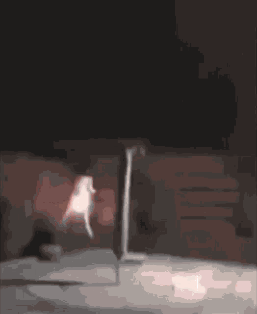 Explosion GIF