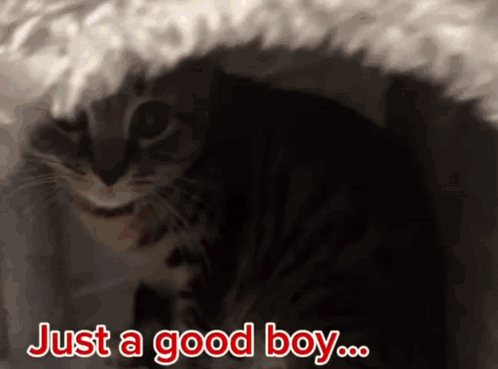 Explosion GIF. This 498 x 369 animated GIF is part of our that boy good collection. Related themes include explosion. Created by cheesyfishy. View the…