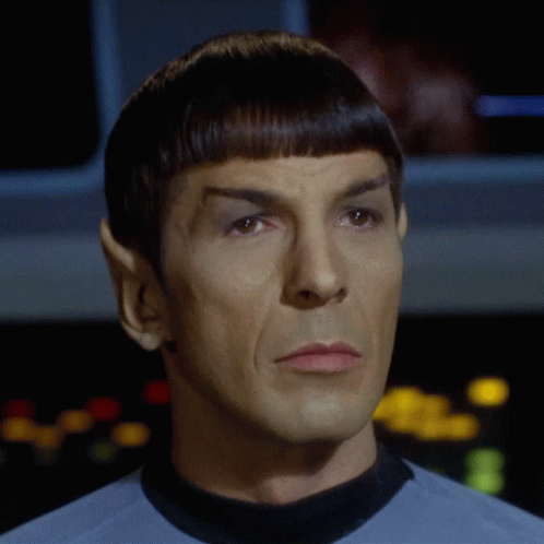 Eyebrow Raise Spock GIF