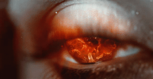 Eyes Beautiful GIF