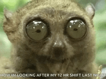 Eyes Chew GIF