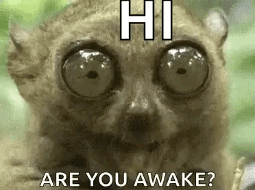 Eyes Chew GIF