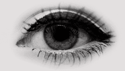 Eyes GIF