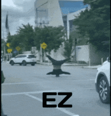 Ez Homeless GIF