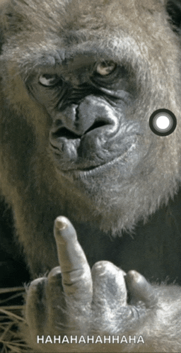 F U Middle Finger Meme
