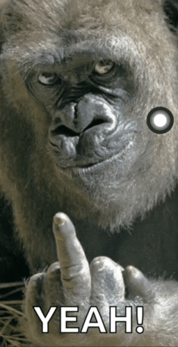 F U Middle Finger Meme