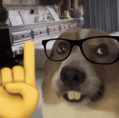 F1 F1 Meme GIF