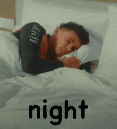 F1 Formula 1 GIF