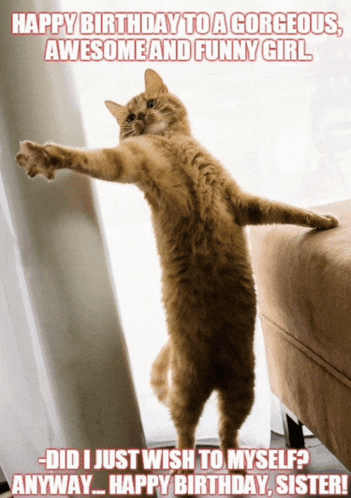 Fabulous Cat Birthday Meme
