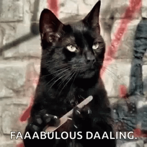 Fabulous Im Awesome GIF