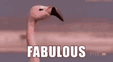 Fabulous Strut GIF