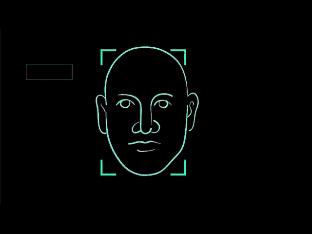 Face Recognition GIF