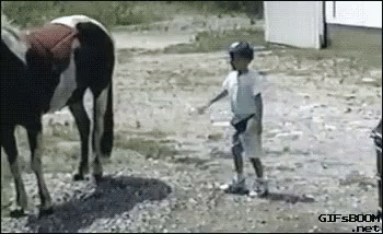 Fail Funny GIF. This 350 x 214 animated GIF is part of our horse kick collection. Related themes include funny. View the original animation, share it, or…