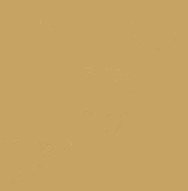 Fairy Books GIF