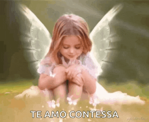 Fairy Wings GIF