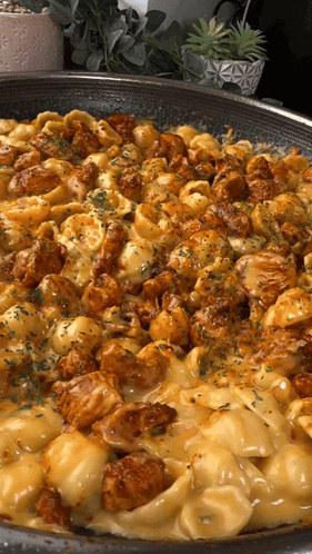 Fajita Chicken Mac N Cheese Pasta GIF