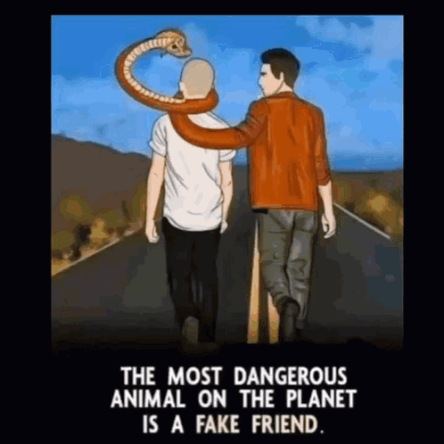 Fake Friend GIF