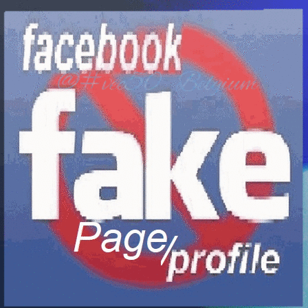 Fake-page Fake-page Profile GIF