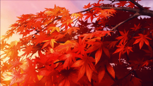 Fall Autumn GIF