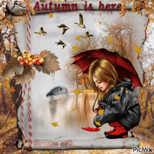 Fall Autumn GIF