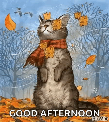 Fall Cat GIF
