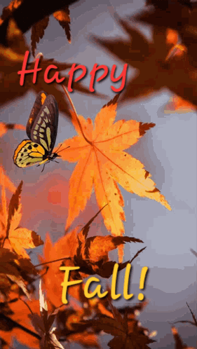 Fall Fall Gifs GIF