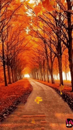Fall GIF