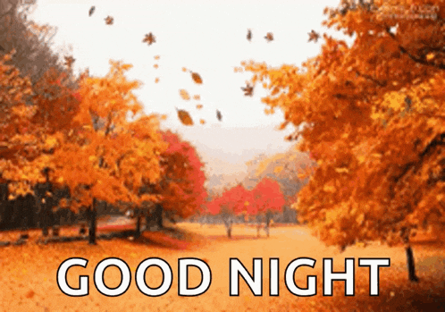 Fall Season GIF