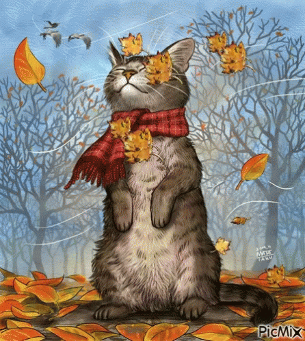 Fall Weather Autumn GIF
