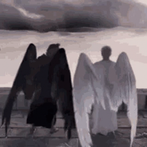 Fallen Angels Good GIF
